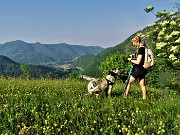 14 Prati in fiore con vista sulla conca di Zogno ed in Canto Alto